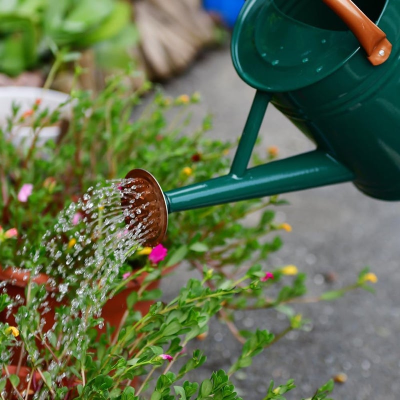 yourjoy Steel Watering Can Sliver Galvanized Steel Watering Can with Copper Accents,Removable Rosette-Diffuser,One-Gallon Green - Image 5
